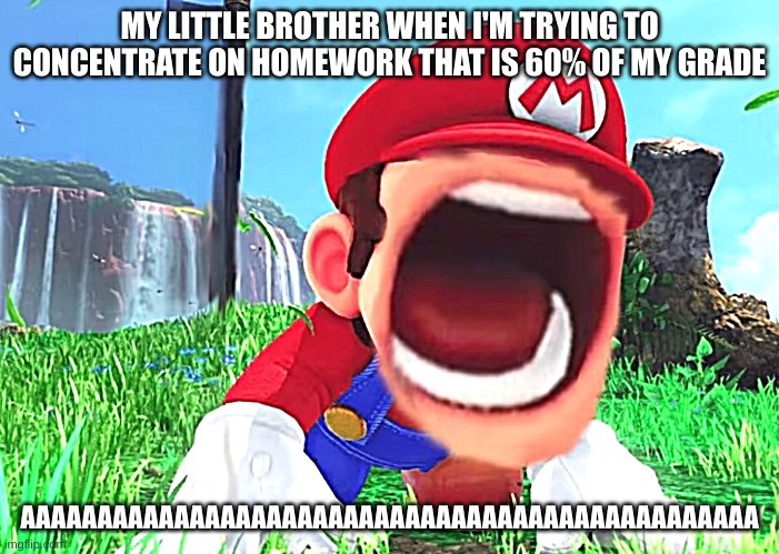 aaaaaaaaaaaaaaaaaaaaaaaaaaaaaaaaaaaaaaaaaaaaaaaaaaaaaaaaaaaaaaaaaaaaaaaaaaaaaaaaaaaaaaaaaaaaaaaaa | MY LITTLE BROTHER WHEN I'M TRYING TO CONCENTRATE ON HOMEWORK THAT IS 60% OF MY GRADE; AAAAAAAAAAAAAAAAAAAAAAAAAAAAAAAAAAAAAAAAAAAAAAAA | image tagged in mario screaming | made w/ Imgflip meme maker