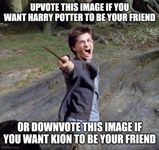 Harry potter | UPVOTE THIS IMAGE IF YOU WANT HARRY POTTER TO BE YOUR FRIEND; OR DOWNVOTE THIS IMAGE IF YOU WANT KION TO BE YOUR FRIEND | image tagged in harry potter,the lion guard | made w/ Imgflip meme maker