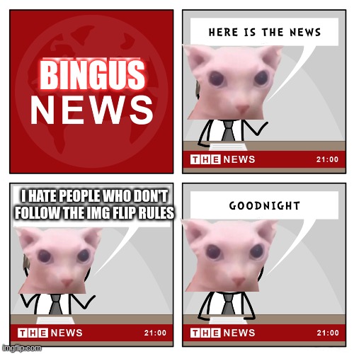 the news |  BINGUS; I HATE PEOPLE WHO DON'T FOLLOW THE IMG FLIP RULES | image tagged in the news | made w/ Imgflip meme maker