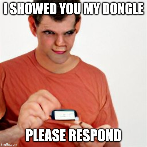 I showed you my dongle please respond | I SHOWED YOU MY DONGLE; PLEASE RESPOND | image tagged in i show you my dongle,dongle,man,it,tech | made w/ Imgflip meme maker