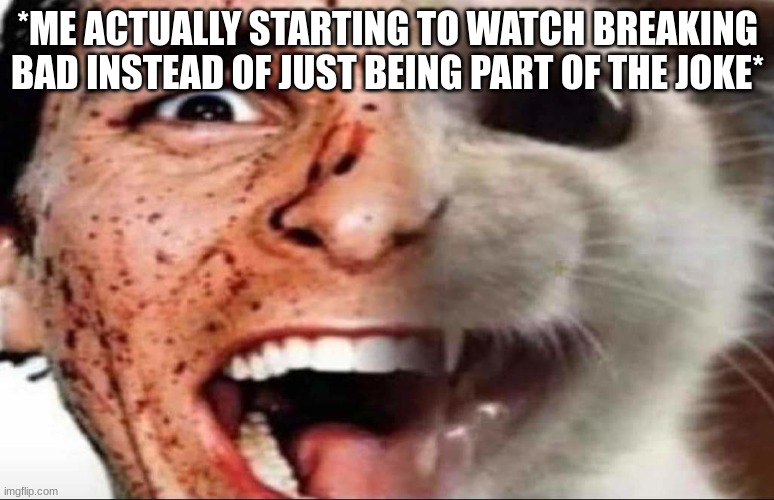american psycho cat | *ME ACTUALLY STARTING TO WATCH BREAKING BAD INSTEAD OF JUST BEING PART OF THE JOKE* | image tagged in american psycho cat | made w/ Imgflip meme maker