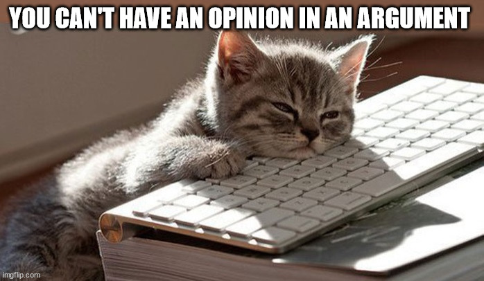 lol | YOU CAN'T HAVE AN OPINION IN AN ARGUMENT | image tagged in sleeping cat | made w/ Imgflip meme maker