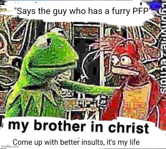 My brother in Christ | "Says the guy who has a furry PFP" Come up with better insults, it's my life | image tagged in my brother in christ | made w/ Imgflip meme maker