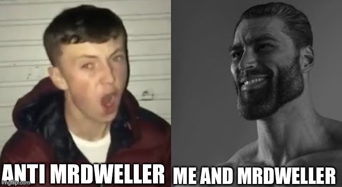 Average Enjoyer meme | ANTI MRDWELLER; ME AND MRDWELLER | image tagged in average enjoyer meme | made w/ Imgflip meme maker