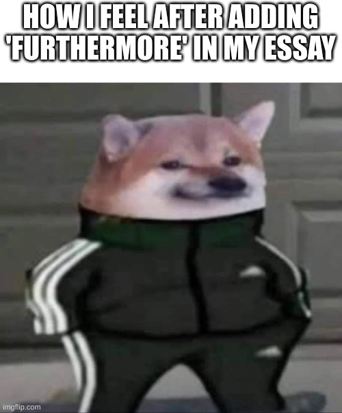 Cheebs Tracksuit | HOW I FEEL AFTER ADDING 'FURTHERMORE' IN MY ESSAY | image tagged in cheebs tracksuit,school meme,high school,school,essays | made w/ Imgflip meme maker