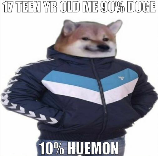 LETS MAKE DESIGNER BABIES SO WE HAVE BETTER HUEMONS! | 17 TEEN YR OLD ME 90% DOGE; 10% HUEMON | image tagged in hummel doge,meme | made w/ Imgflip meme maker