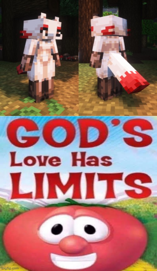 God's Love has LIMITS | image tagged in god's love has limits,furry,minecraft,memes | made w/ Imgflip meme maker