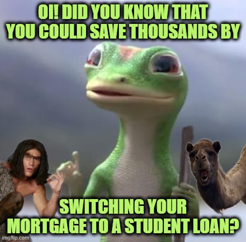 It's So Easy a Camel can do It! |  OI! DID YOU KNOW THAT YOU COULD SAVE THOUSANDS BY; SWITCHING YOUR MORTGAGE TO A STUDENT LOAN? | image tagged in geico gecko | made w/ Imgflip meme maker