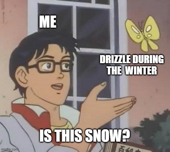 snow? | ME; DRIZZLE DURING THE  WINTER; IS THIS SNOW? | image tagged in memes,is this a pigeon,winter | made w/ Imgflip meme maker