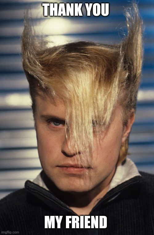 Flock of Seagulls | THANK YOU MY FRIEND | image tagged in flock of seagulls | made w/ Imgflip meme maker