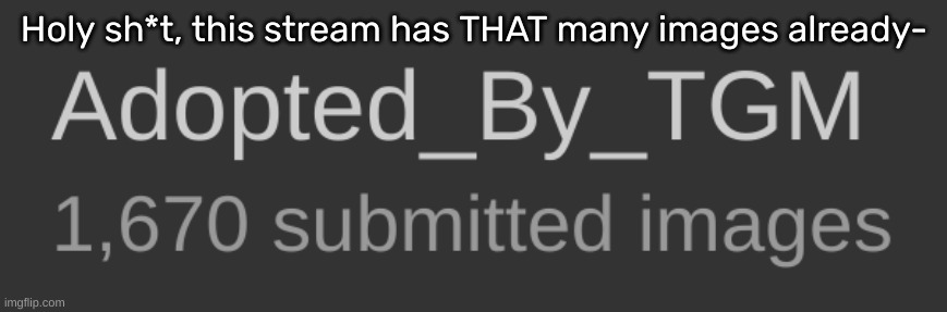 Holy sh*t, this stream has THAT many images already- | image tagged in idk,stuff,s o u p,carck | made w/ Imgflip meme maker