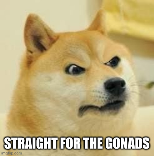 angry doge | STRAIGHT FOR THE GONADS | image tagged in angry doge | made w/ Imgflip meme maker