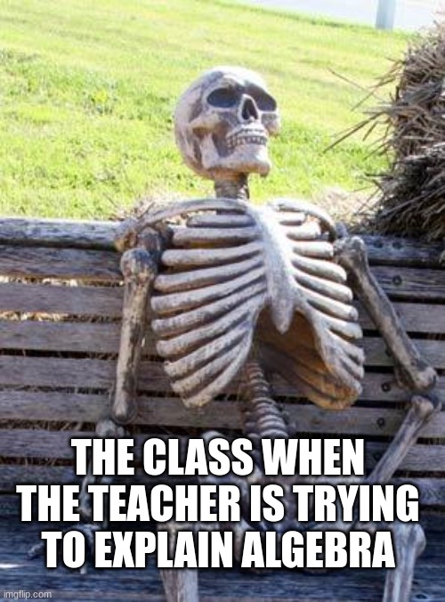 always happens | THE CLASS WHEN THE TEACHER IS TRYING TO EXPLAIN ALGEBRA | image tagged in memes,waiting skeleton | made w/ Imgflip meme maker