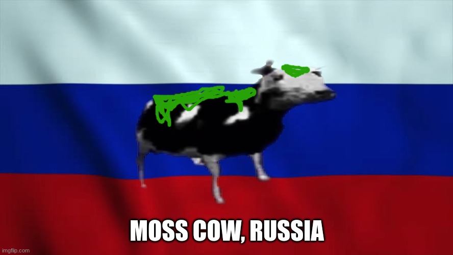 GET IT? BECAUSE THE RUSSIAN COW IS COVERED IN MOSS??? HAHAHAHA!! Oh...   I'm insane aren't I? |  MOSS COW, RUSSIA | image tagged in funni,politics lol | made w/ Imgflip meme maker