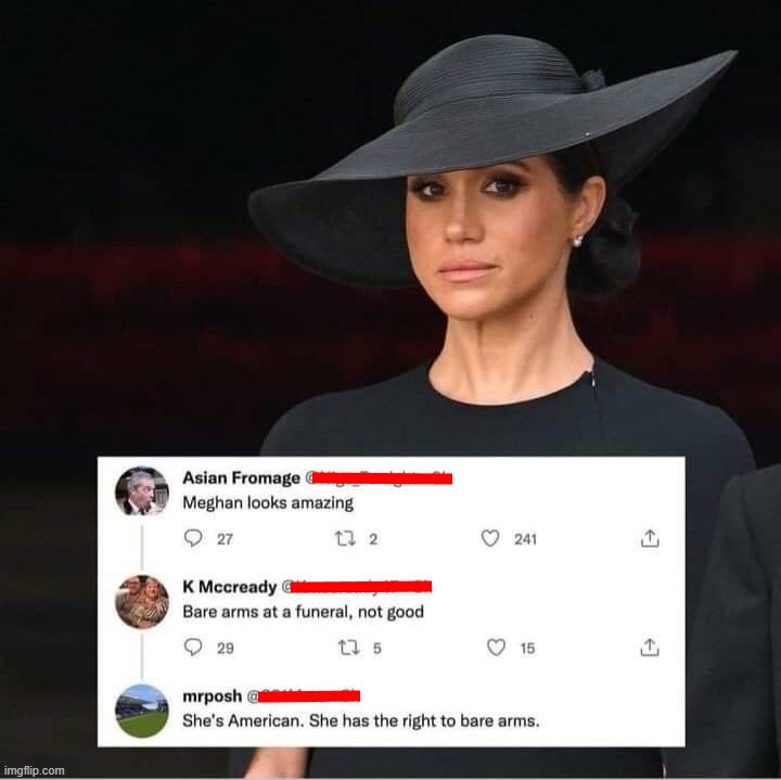 Meghan's Arms | image tagged in meghan markle,royal family,british royals,england,second amendment,right to bear arms | made w/ Imgflip meme maker