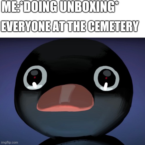 Pingu stare | ME:*DOING UNBOXING*; EVERYONE AT THE CEMETERY | image tagged in pingu stare | made w/ Imgflip meme maker