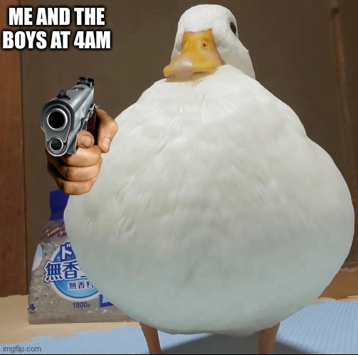 Duck with a pistol | ME AND THE BOYS AT 4AM | image tagged in duck | made w/ Imgflip meme maker