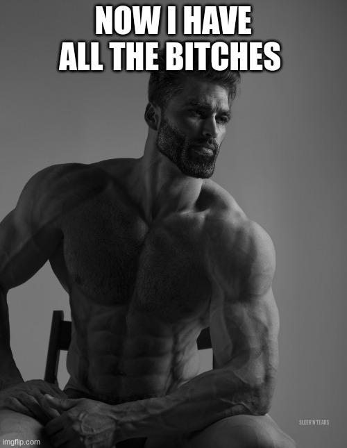 NOW I HAVE ALL THE BITCHES | image tagged in giga chad | made w/ Imgflip meme maker