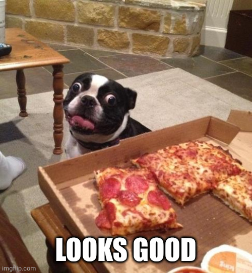 Hungry Pizza Dog | LOOKS GOOD | image tagged in hungry pizza dog | made w/ Imgflip meme maker