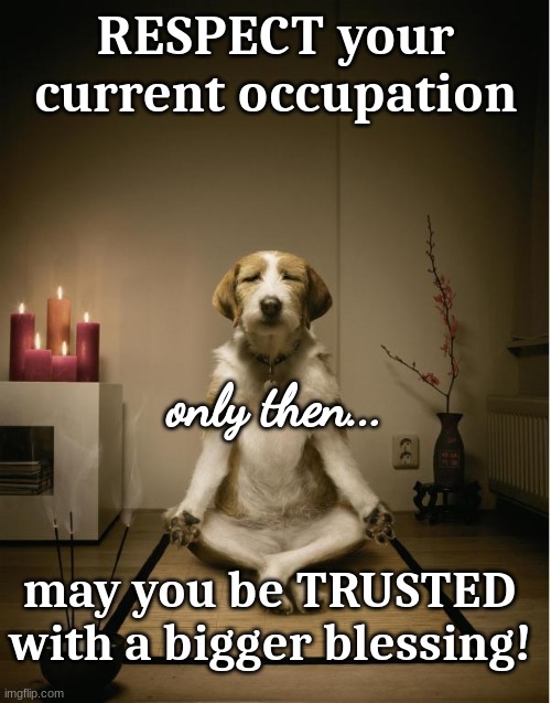 Gratitude leads to Multitude | RESPECT your current occupation; only then... may you be TRUSTED with a bigger blessing! | image tagged in dog meditation funny | made w/ Imgflip meme maker