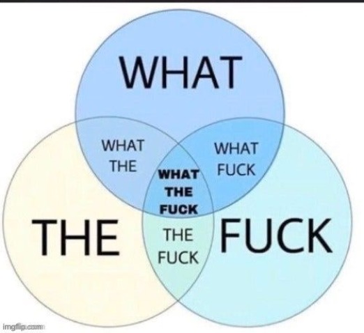 what the fuck what the what fuck what the fuck the fuck | image tagged in what the fuck what the what fuck what the fuck the fuck | made w/ Imgflip meme maker