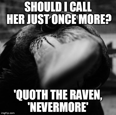 SHOULD I CALL HER JUST ONCE MORE? 'QUOTH THE RAVEN, 'NEVERMORE' | image tagged in neverore,AdviceAnimals | made w/ Imgflip meme maker