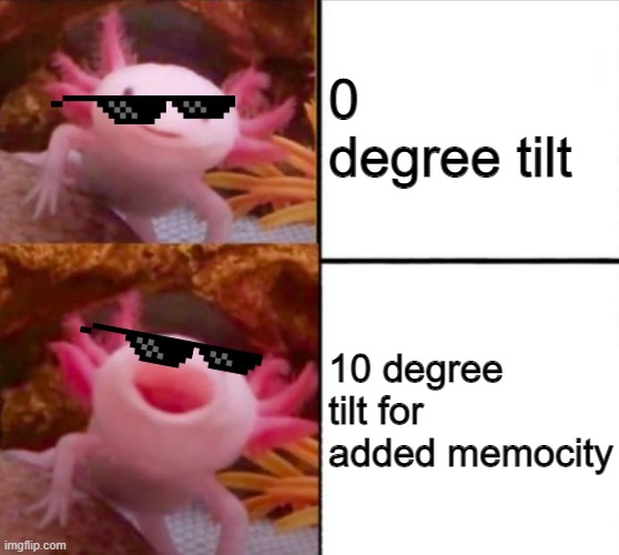 Axolotl | 0 degree tilt; 10 degree tilt for added memocity | image tagged in axolotl drake | made w/ Imgflip meme maker