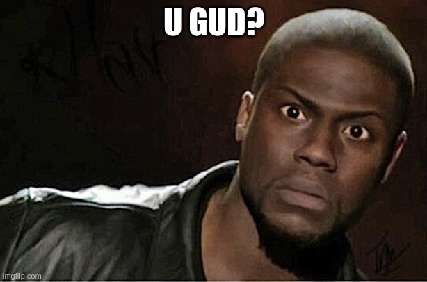 Kevin Hart Meme | U GUD? | image tagged in memes,kevin hart | made w/ Imgflip meme maker