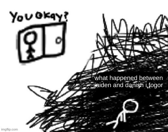 you okay | what happened between jaiden and danish i fogor | image tagged in you okay | made w/ Imgflip meme maker