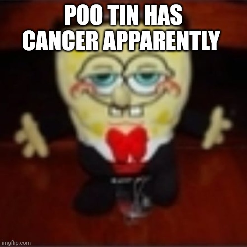 idk.jpg | POO TIN HAS CANCER APPARENTLY | image tagged in idk jpg | made w/ Imgflip meme maker