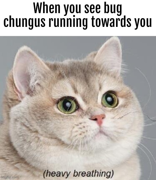 lol | When you see bug chungus running towards you | image tagged in memes,heavy breathing cat | made w/ Imgflip meme maker