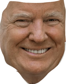 High Quality Trump face 2 Blank Meme Template