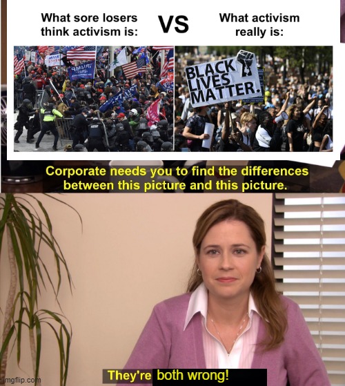They've BOTH Committed Unnecessary Violence |  both wrong! | image tagged in memes,they're the same picture | made w/ Imgflip meme maker