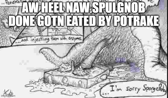 spulgnob getd eat by potrake | AW HEEL NAW SPULGNOB DONE GOTN EATED BY POTRAKE | image tagged in spongebob | made w/ Imgflip meme maker