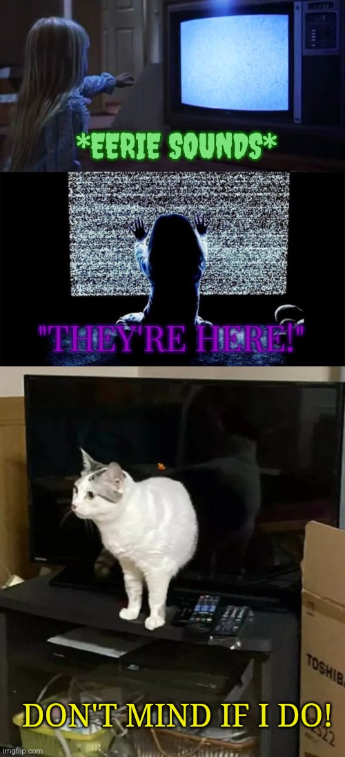 Poltercat | *EERIE SOUNDS*; "THEY'RE HERE!"; DON'T MIND IF I DO! | image tagged in poltergeist | made w/ Imgflip meme maker