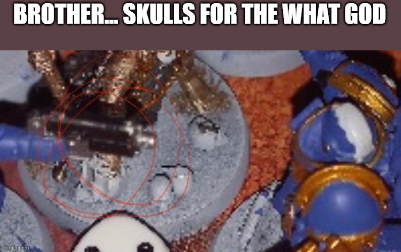 BROTHER... SKULLS FOR THE WHAT GOD | made w/ Imgflip meme maker