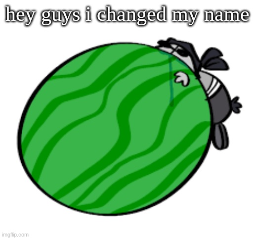 Sanford-Official Template | hey guys i changed my name | image tagged in sanford-official template | made w/ Imgflip meme maker