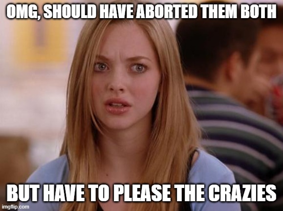 OMG Karen Meme | OMG, SHOULD HAVE ABORTED THEM BOTH BUT HAVE TO PLEASE THE CRAZIES | image tagged in memes,omg karen | made w/ Imgflip meme maker