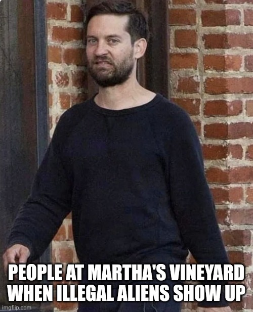 tobey maguire asco | PEOPLE AT MARTHA'S VINEYARD WHEN ILLEGAL ALIENS SHOW UP | image tagged in tobey maguire asco | made w/ Imgflip meme maker