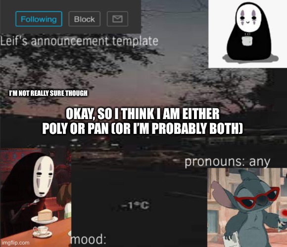 I’M NOT REALLY SURE THOUGH; OKAY, SO I THINK I AM EITHER POLY OR PAN (OR I’M PROBABLY BOTH) | image tagged in leif s announcement template | made w/ Imgflip meme maker
