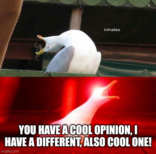 Inhaling Seagull  | YOU HAVE A COOL OPINION, I HAVE A DIFFERENT, ALSO COOL ONE! | image tagged in inhaling seagull | made w/ Imgflip meme maker