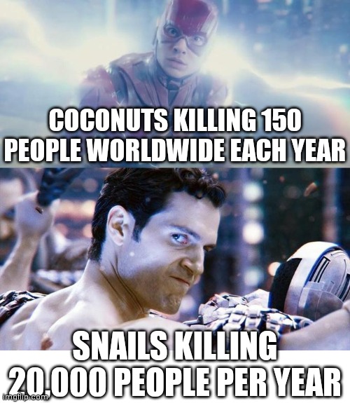 Umm.... | COCONUTS KILLING 150 PEOPLE WORLDWIDE EACH YEAR; SNAILS KILLING 20,000 PEOPLE PER YEAR | image tagged in flash vs superman,superman,coconut,snails,flash | made w/ Imgflip meme maker