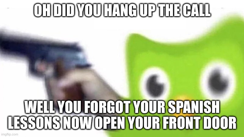 duolingo gun | OH DID YOU HANG UP THE CALL WELL YOU FORGOT YOUR SPANISH LESSONS NOW OPEN YOUR FRONT DOOR | image tagged in duolingo gun | made w/ Imgflip meme maker