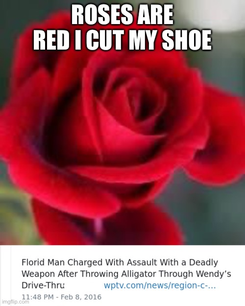  ROSES ARE RED I CUT MY SHOE | image tagged in roses are red,florida man,meanwhile in florida,what | made w/ Imgflip meme maker