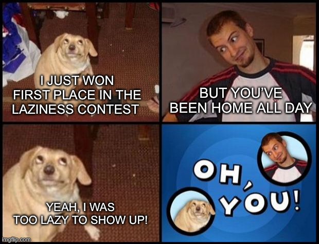 Oh, You! |  BUT YOU’VE BEEN HOME ALL DAY; I JUST WON FIRST PLACE IN THE LAZINESS CONTEST; YEAH, I WAS TOO LAZY TO SHOW UP! | image tagged in oh you,funny,memes,dogs,contest,animals | made w/ Imgflip meme maker