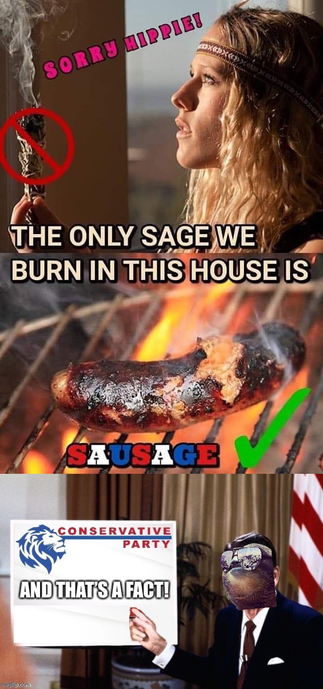 Conservative Party: Keeping hippies in their place since 1969 | image tagged in sorry hippie we only burn sausage,conservative party ronald reagan and that s a fact,hippies,keep,out,this is america | made w/ Imgflip meme maker