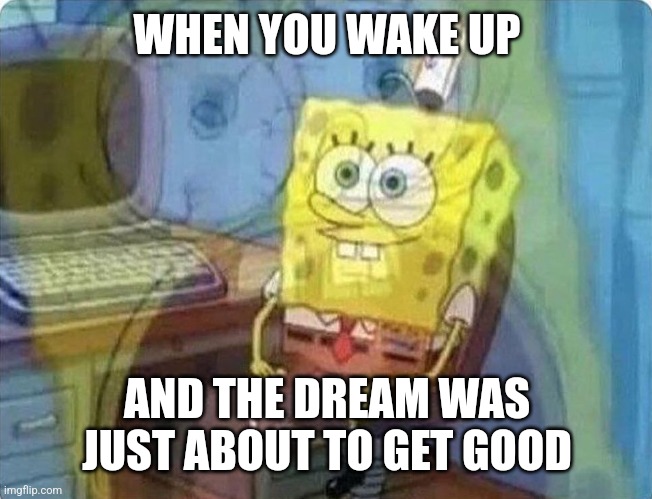 It happens ALL THE TIME | WHEN YOU WAKE UP; AND THE DREAM WAS JUST ABOUT TO GET GOOD | image tagged in spongebob screaming inside | made w/ Imgflip meme maker