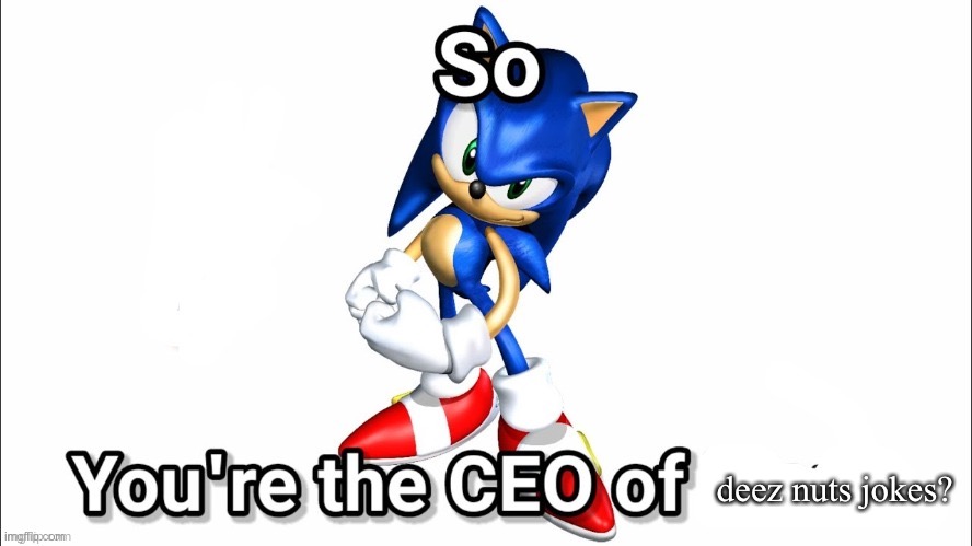 cinna is the ceo of deez nuts jokes | deez nuts jokes? | image tagged in so you're the ceo of | made w/ Imgflip meme maker
