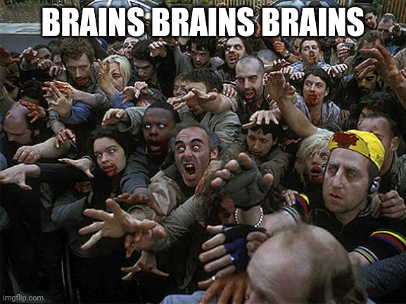 Zombies Approaching | BRAINS BRAINS BRAINS | image tagged in zombies approaching | made w/ Imgflip meme maker