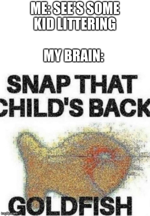 littering Is BAD!! |  ME: SEE'S SOME KID LITTERING; MY BRAIN: | image tagged in snap that child's back,lol,memes,fun,goldfish,meme | made w/ Imgflip meme maker